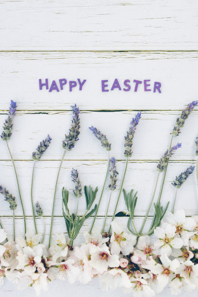 垂直平铺白杏仁花和薰衣草与英文字母复活节快乐在白色木制背景与复制空间图片下载