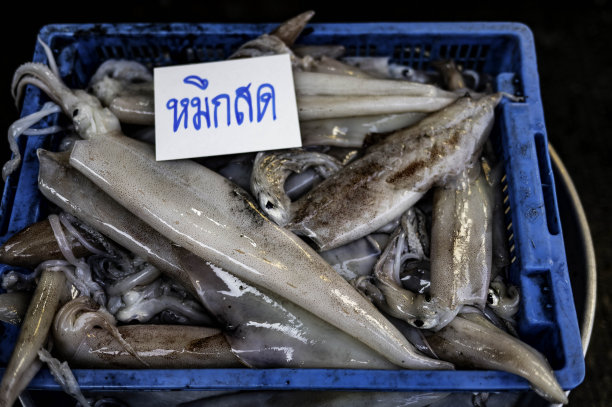 在泰国春武里坂榕河海鲜市场出售的新鲜章鱼图片下载