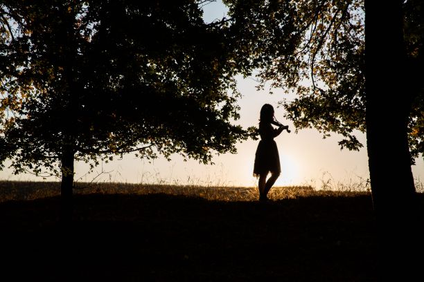 一个美丽的女人在日落时在公园拉小提琴的剪影图片下载