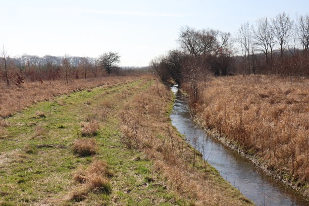 一条流经风景的溪流图片下载
