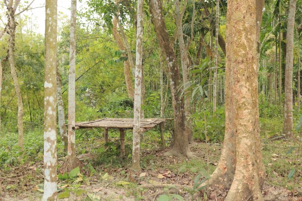 美丽的坐椅由竹子制成图片下载