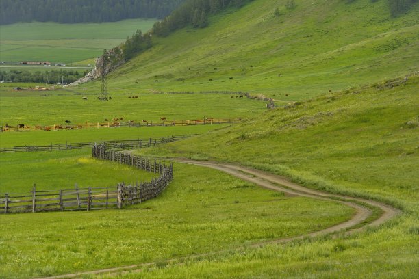 这条路通到山里图片下载