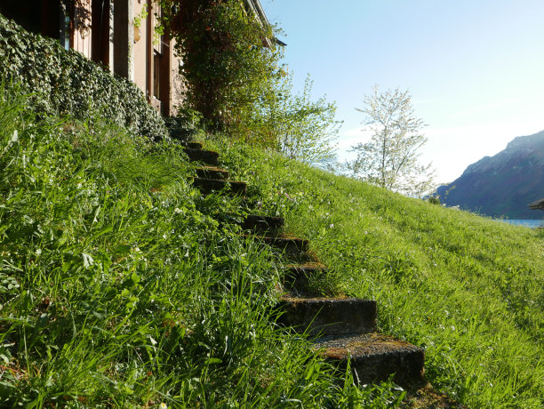 通往山上房子的楼梯图片下载