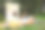 后院家庭户外电影之夜与孩子。姐妹们一起在后院看电影。DIY带胶片的屏幕。夏季周末户外活动与孩子。露天电影院。图片下载