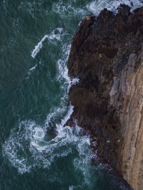 圣佩德罗费尔明公园鸟瞰图图片下载