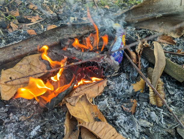 一堆干枯的树叶被火和烟焚烧。图片下载