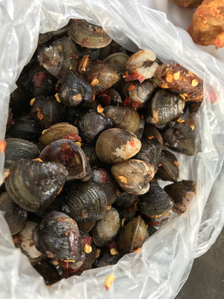 柬埔寨贻贝图片下载