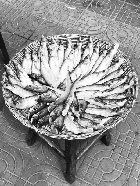 篮子里的小鱼图片下载