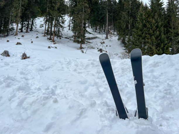孩子们的滑雪板在阿尔卑斯山脉的雪地里凸出来图片下载