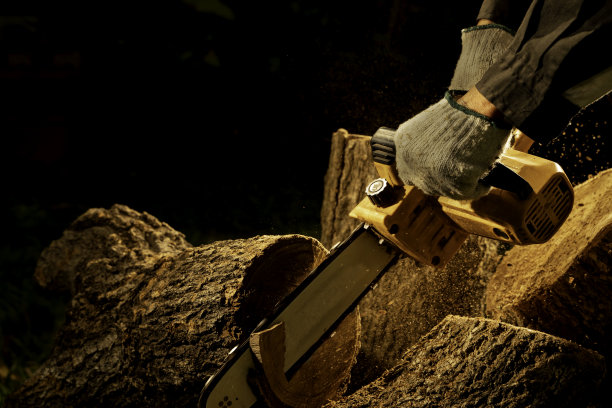 电锯在森林里砍伐树木，用来盖房子和做柴火图片下载