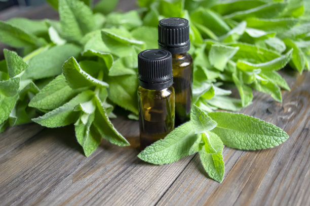 薄荷上有几瓶芳香油。深色瓶子与芳香薄荷香脂油。两个黑色的瓶子躺在柠檬香脂的叶子上。图片下载