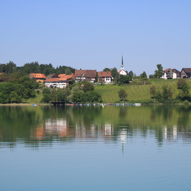 瑞士普法菲孔湖的夏日。图片下载