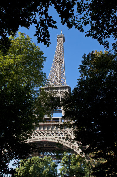 巴黎公园的埃菲尔铁塔周围环绕着树木图片下载
