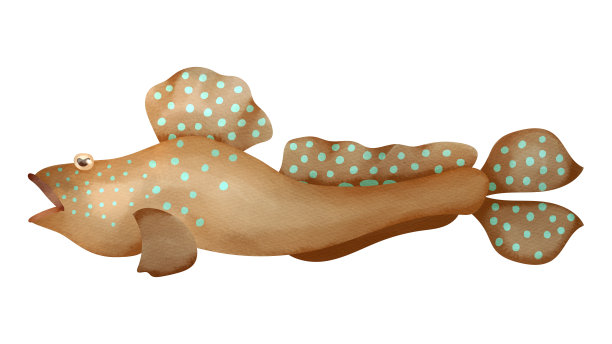 蓝斑泥斗图片下载