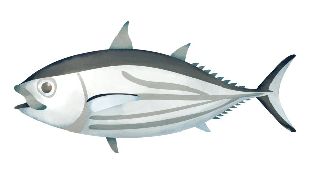 漂亮的图片下载