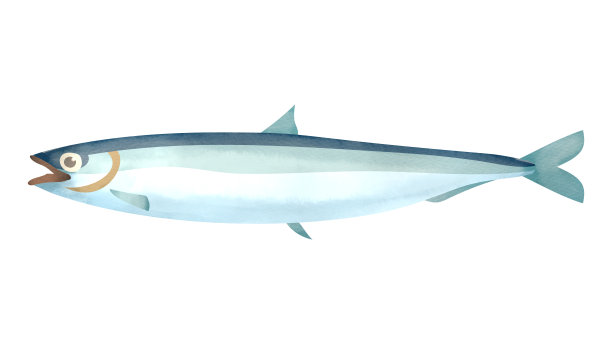 纤细的小人物图片下载