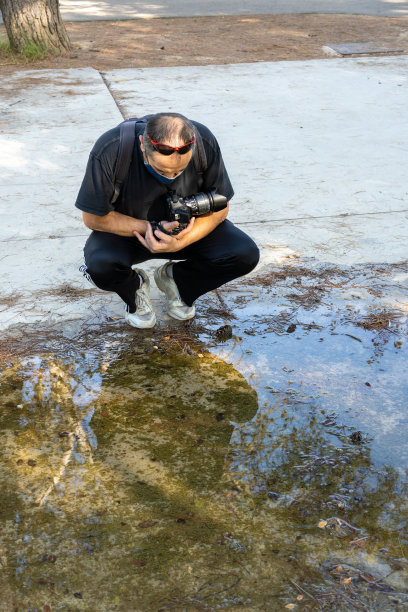 中年男子使用相机图片下载