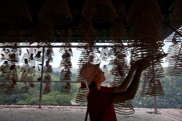 旅游又回来了图片下载