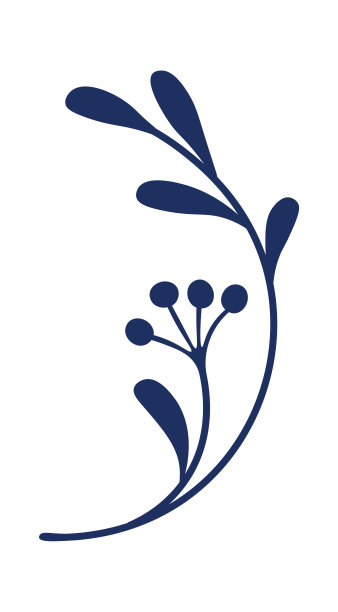 抽象支插画花卉造型设计元素图片下载