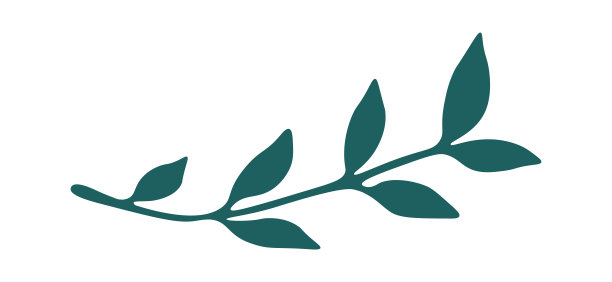 抽象支插画花卉造型设计元素图片下载