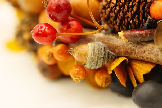 可爱的秋冬圣诞花环与许多坚果图片下载