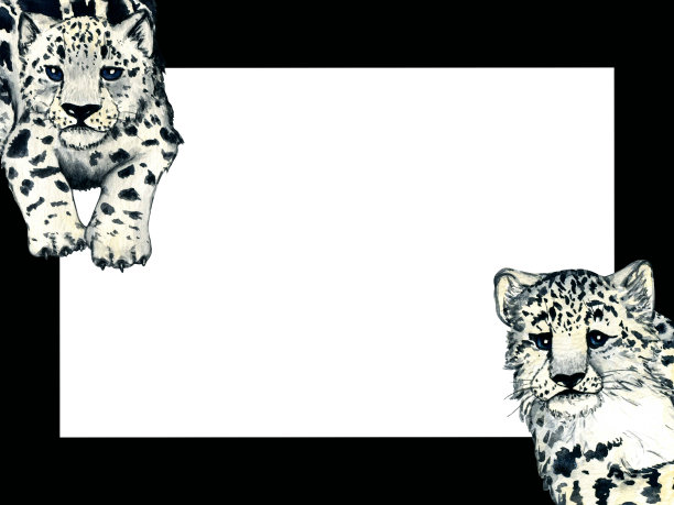 水彩框架与雪豹在白色背景。儿童自然插图设计和明信片。图片下载