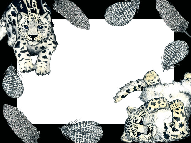 水彩框架的羽毛和雪豹在白色的背景。儿童自然插图设计和明信片。图片下载