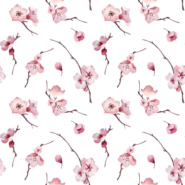 水彩画盛开的粉红色樱花无缝模式的白色背景图片下载