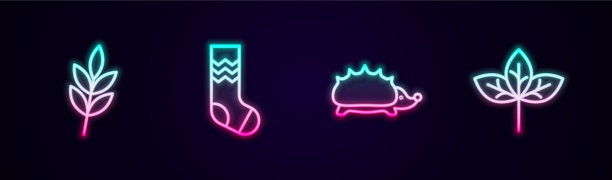 集行叶袜刺猬和发光霓虹图片下载