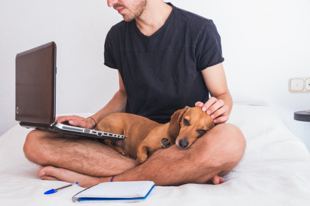 年轻人带着狗在工作图片下载