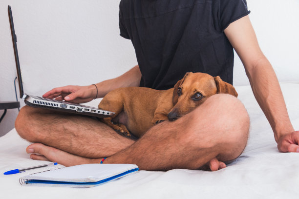 年轻人带着狗在工作图片下载