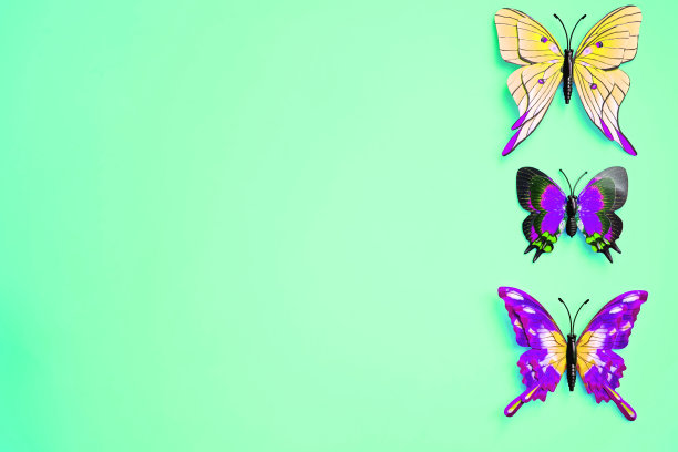 翠绿色石灰上的彩色杂色蝴蝶图片下载