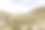 美丽的格雷多斯山脉地区公园的石头和草在西班牙格雷多斯图片下载