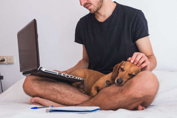 年轻人带着狗在工作图片下载