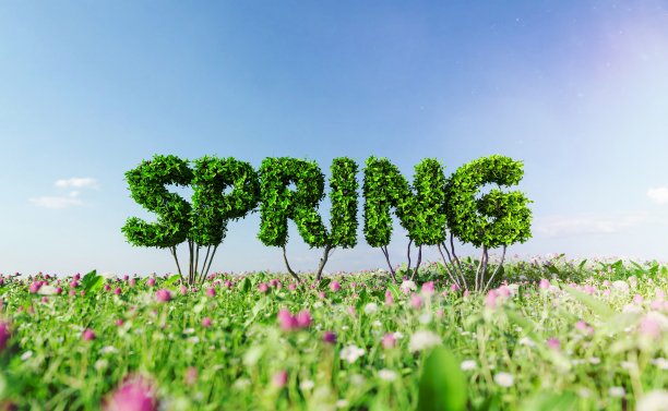 灌木丛的标志上写着草地上的春天图片下载