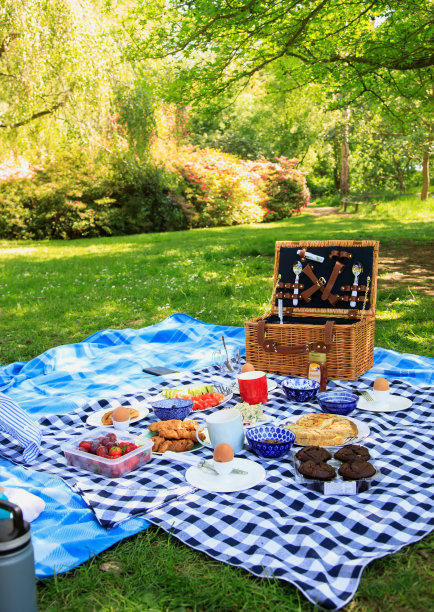 公园野餐时间!图片下载