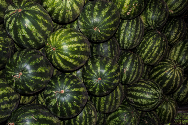 新鲜的西瓜图片下载