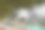 在池塘里游泳的小鸭子的选择性聚焦和掉翅膀。图片下载