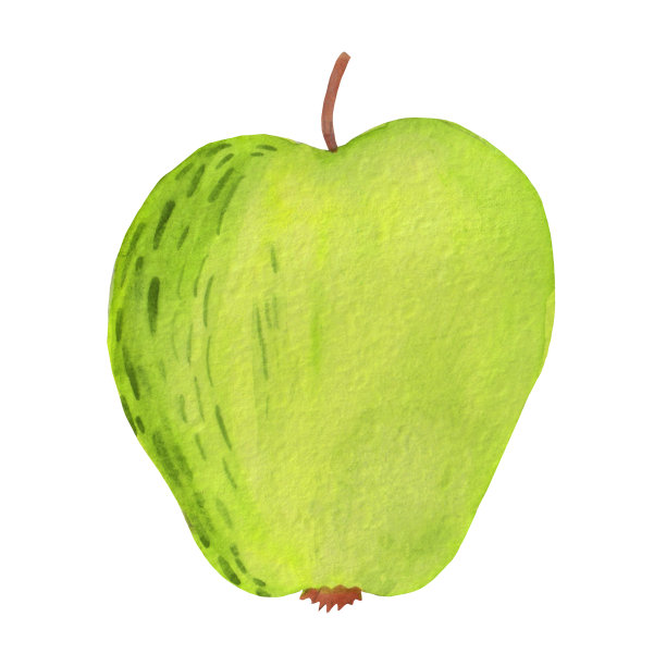 水彩画明亮的水果插图，明亮的绿色苹果孤立在白色背景图片下载