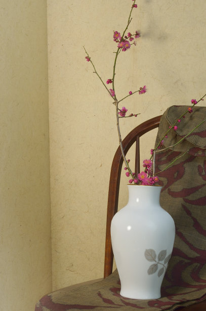 花瓶里的红梅图片下载