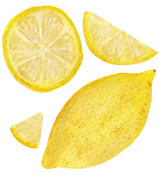 水彩画的水果集合，柠檬，圆圈和柑橘块孤立在白色背景上。图片下载