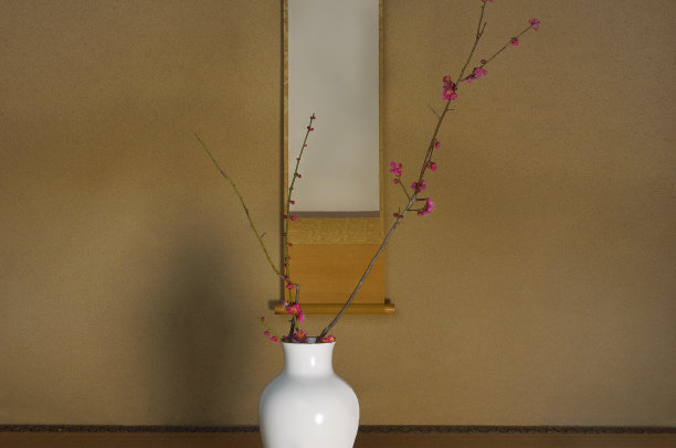 花瓶里的红梅图片下载