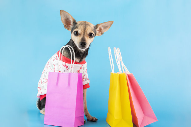 宠物店出售，可爱的狗带蓝色背景的购物袋，宠物店，好购物图片下载