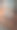 动物园里的老虎特写图片下载