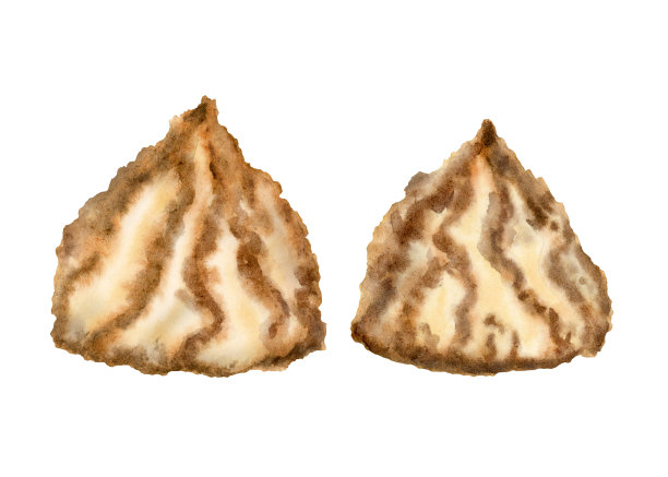 手绘水彩椰子饼干马卡龙与椰子为逾越节的节日，犹太逾越节家宴上的白色图片下载