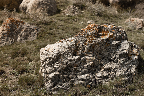 粗糙的灰色大石头，有裂缝、裂缝，橙色的地衣特写，模糊在昏暗干燥的绿色草地上。山谷纹理，背景，细节。图片下载