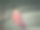 穿着粉红色碎花套装和冬季靴子的婴儿的复古照片图片下载