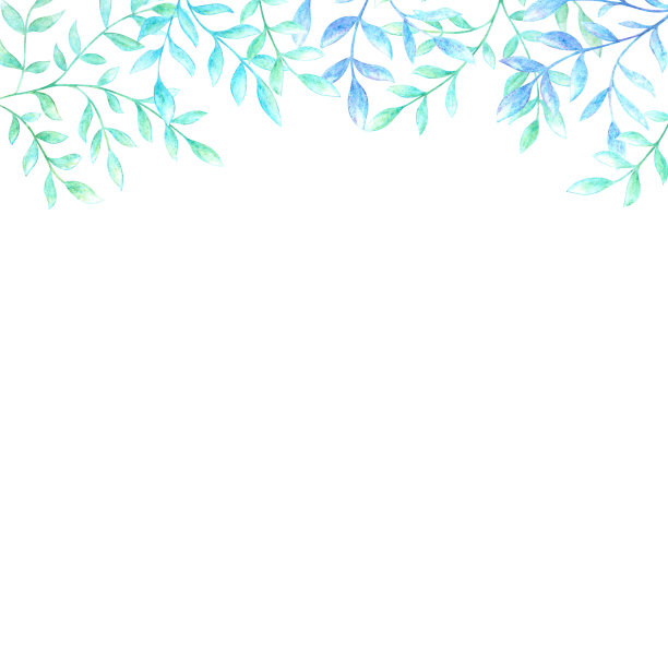 用水彩铅笔在白色背景上画出的树枝和树叶的框架。图片下载