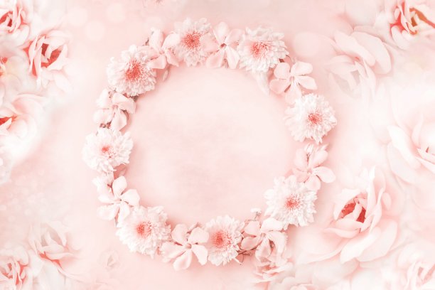 美丽的粉红色玫瑰花边界背景与复制空间，婚礼卡片的邀请，图片下载