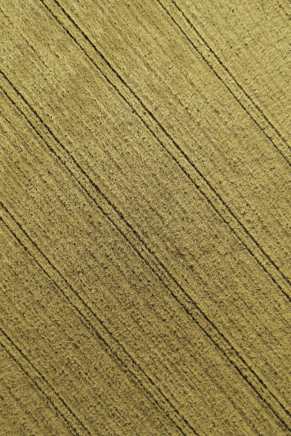 乡村景观中的绿色农田(航拍)图片下载